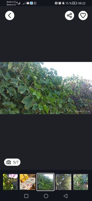 Продам огородный участок