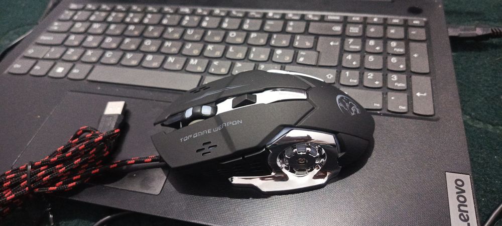 Igravoy mishka Sichqoncha