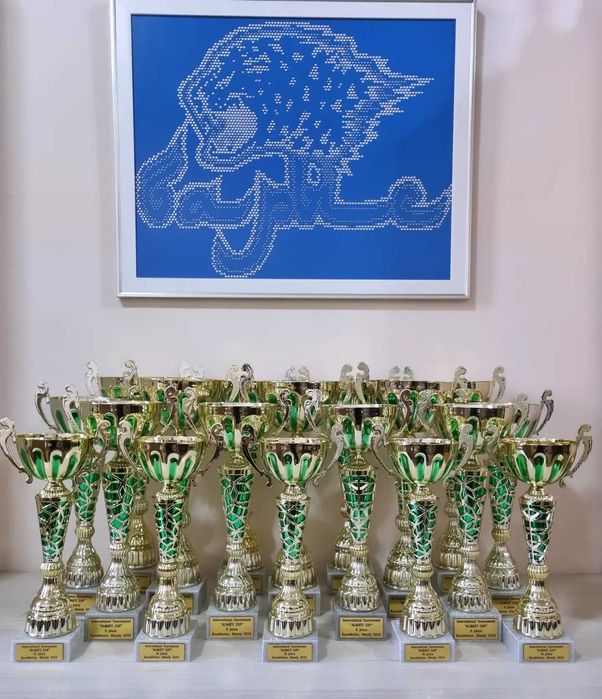 Кубки спортивные,универсальные