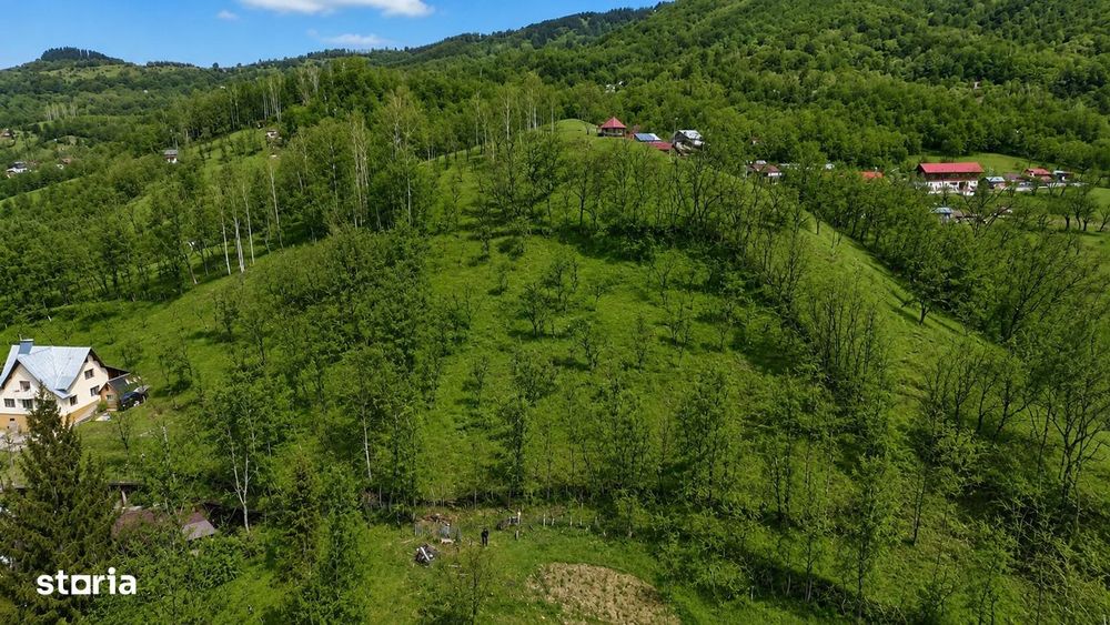 Oportunitate investitie teren  la munte, Prahova | 3.485 mp | View spe