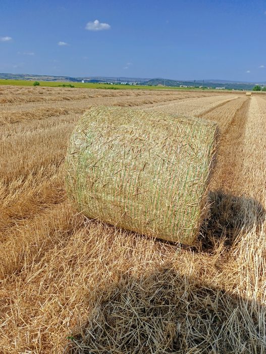 Предлагам бали сено,слама и люцерна