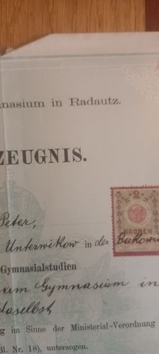 Document vechi,Petre Spanul Radautz