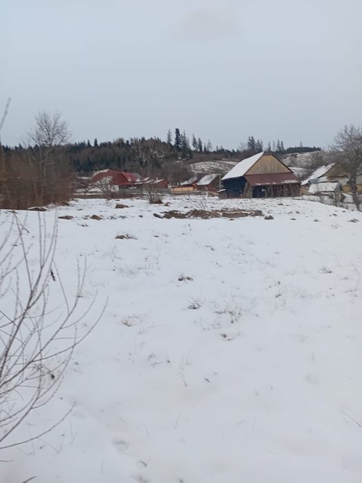 Vand teren 1600mp in valea moldovei
