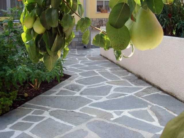 Плитняки в ассортименте