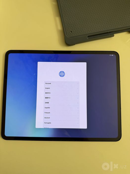 iPad Pro 13” M4 • 256 GB • Wi-Fi + Cellular/eSim идеальное состояние
