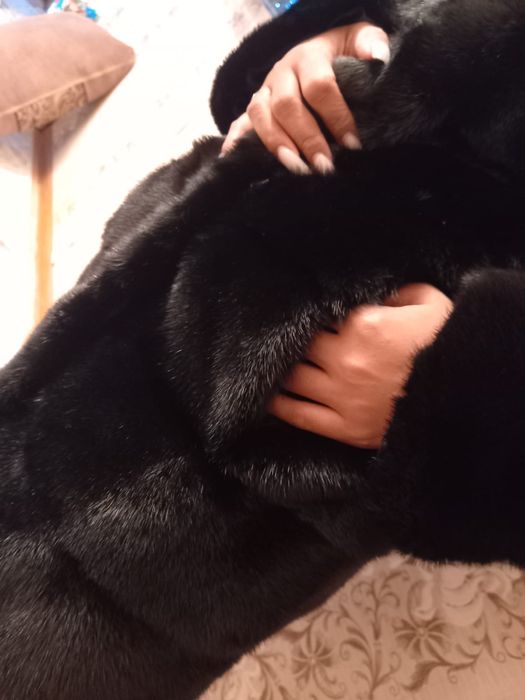 Продам шубу новую