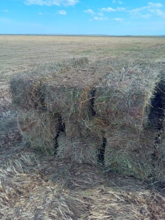 Сено отличного качества