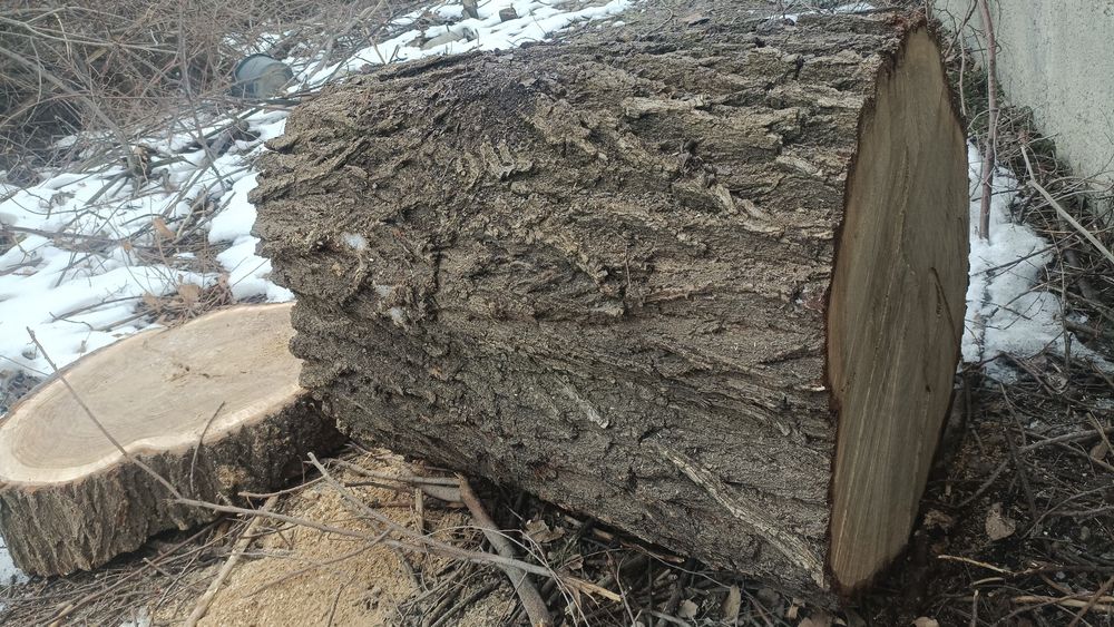 Чурка под мясо карагач