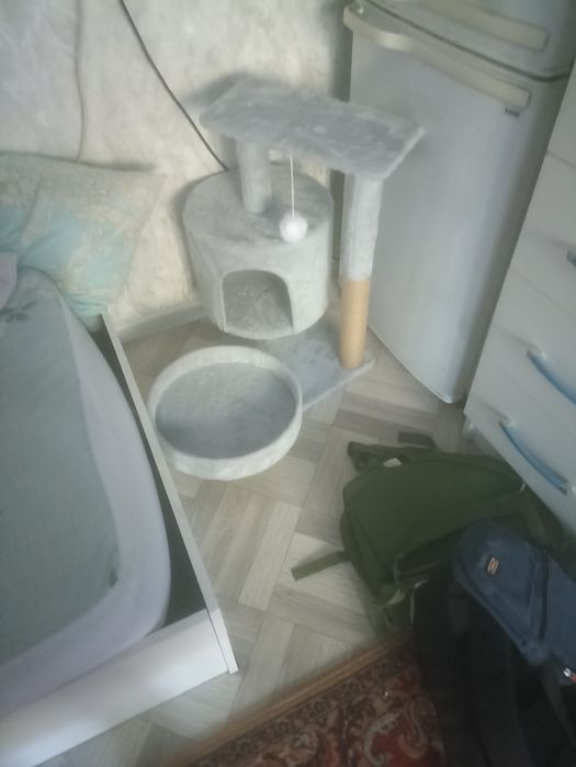 Домик для кошек новый