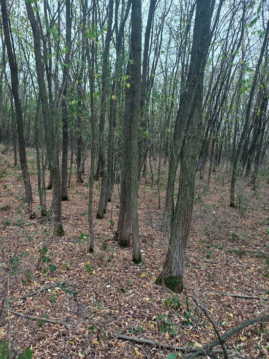 Teren extravilan de vânzare