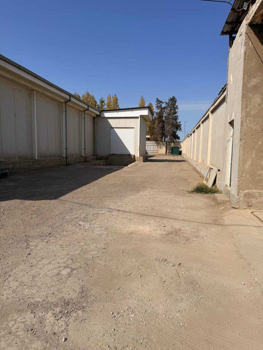 Агро-логистический комплекс с холодильными камерами |1000 тонн|