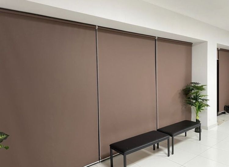 Жалюзи Ролл штор Дикий тюль