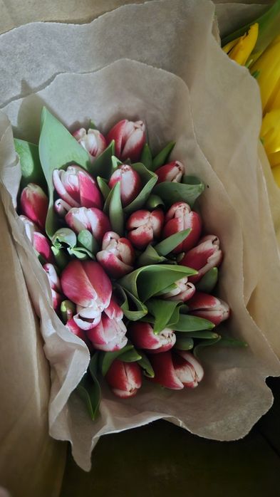 В Наличии шикарные тюльпаны