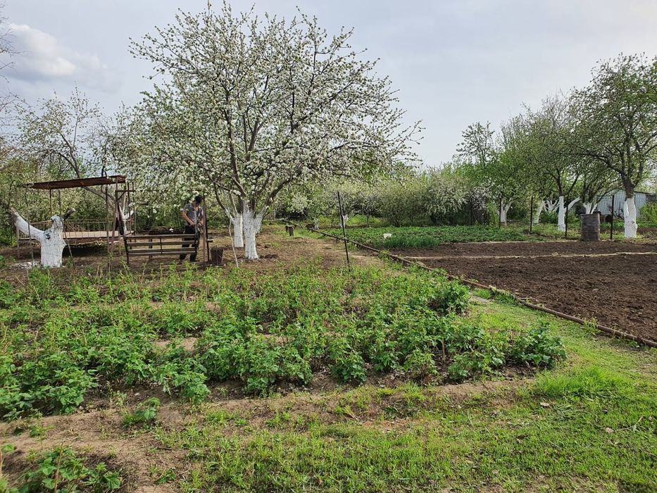 Продам дачу 10 соток с домиком