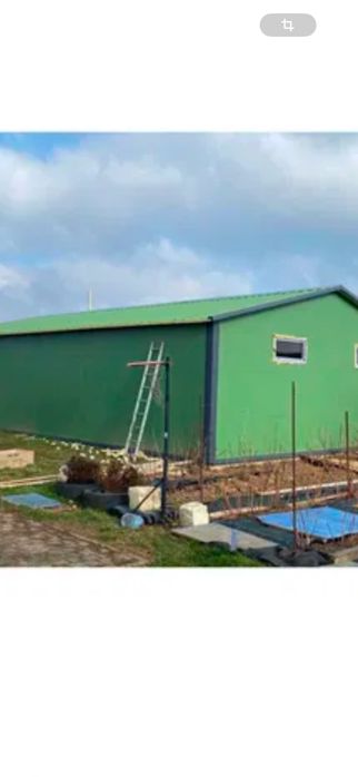 Structura hală metalica .