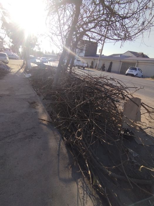 Утин Текинга бериворамиза