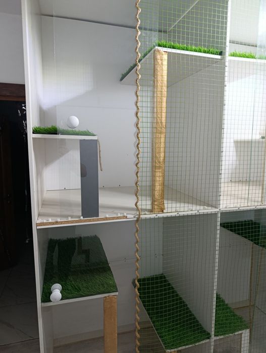 Гостиница для кошек