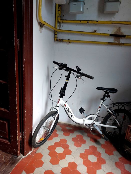 Bicicletă x fact damă , adolescenți