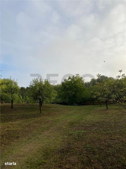 Reco Teren intravilan zona Mini Paradis