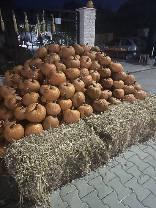 Dovleci decor, Haloween