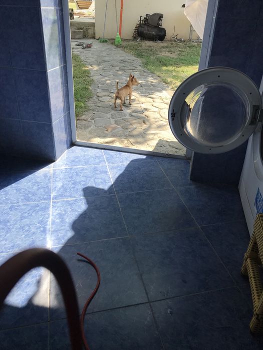 Продава се Парцел в Перущица - 2500 кв.м за 35 €/кв.м - Снимка #9