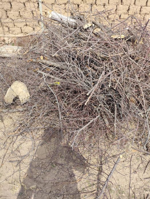 Отын сатылады бұталған