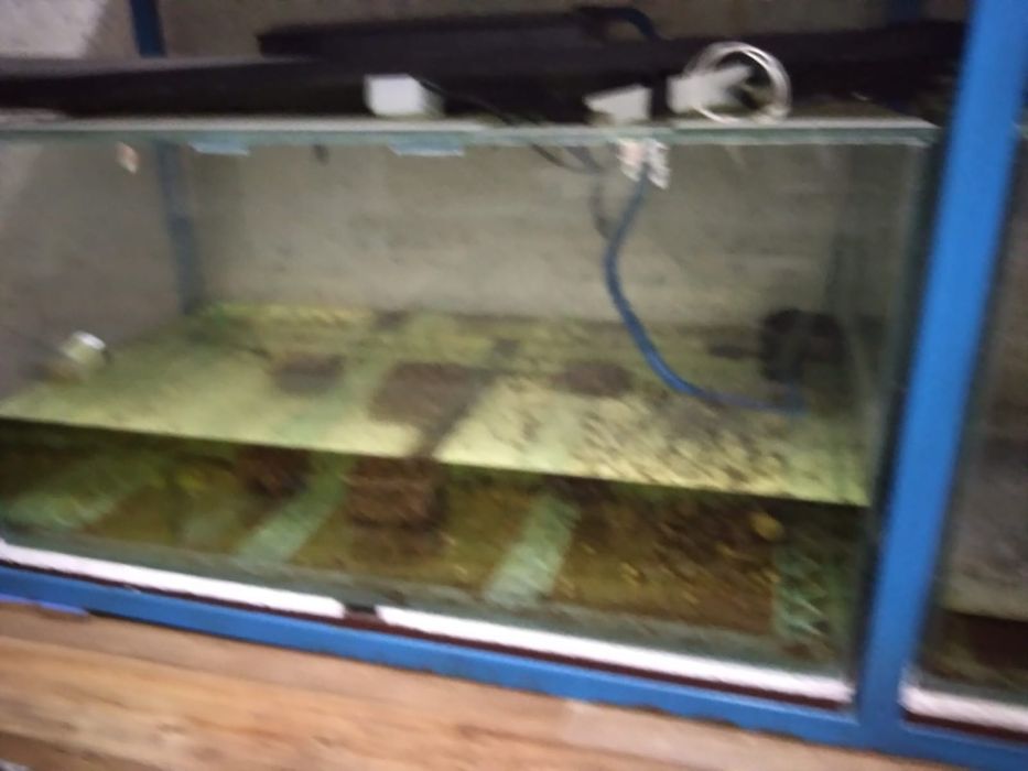 Комплект аквариумов со стойкой