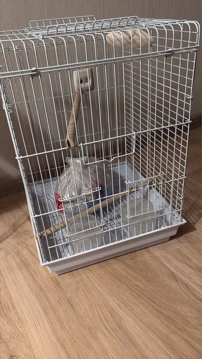 Клетка доя попугая