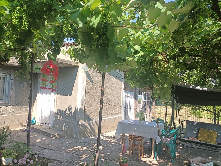 Vând casă comuna Mihail Kogălniceanu