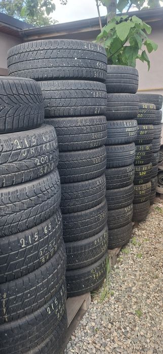 C-URI 12, 14, 15, 16 vară și  MS