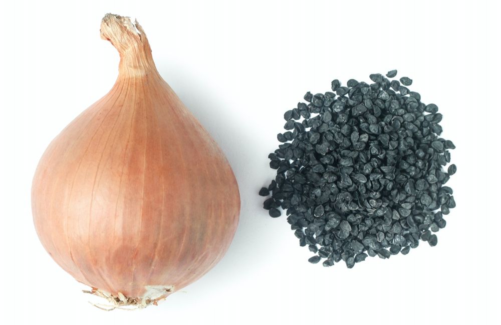 Семя лук  / Пияз ұрық сатылады