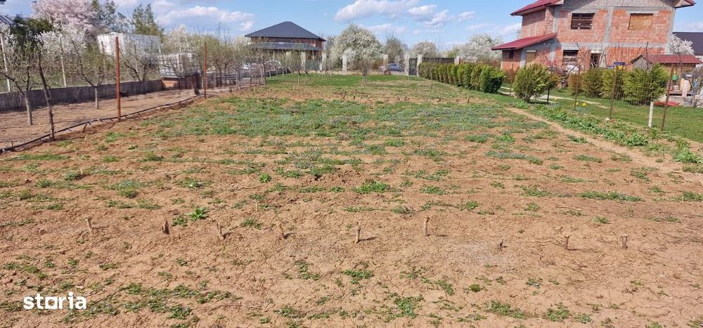 0%comision - Teren Tancabesti ingradit