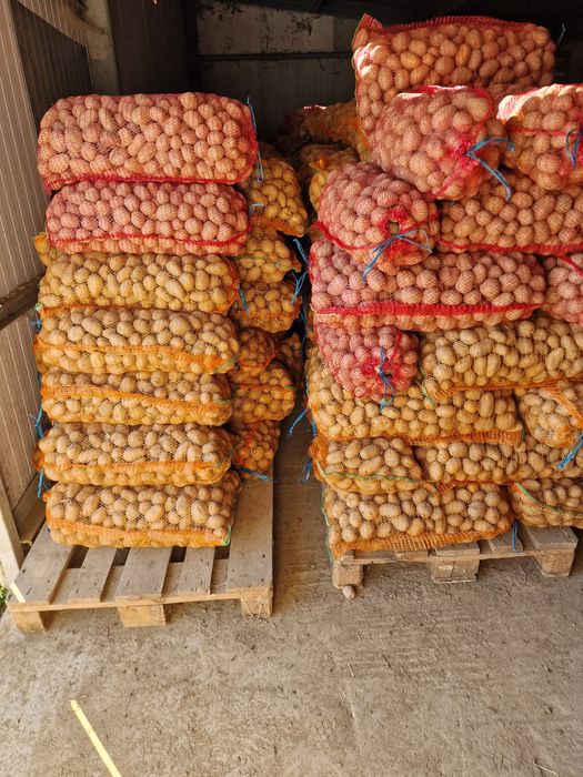 Cand cartofi de samanta