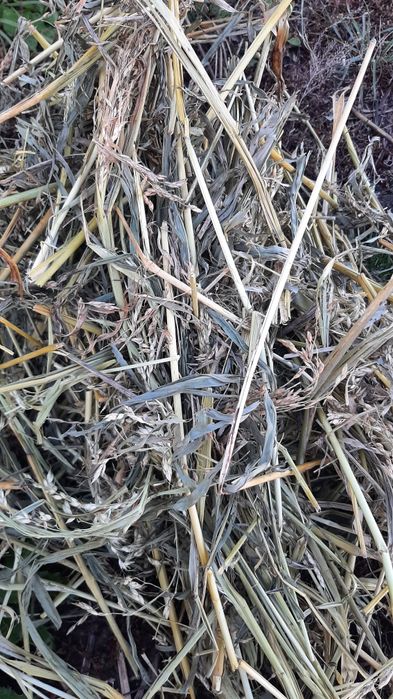 Продам сено, солому в тюках