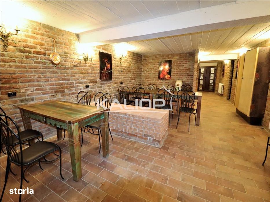 Casa individuala | 8 camere | 1200 mp | Piscina | Crama | Garaj | Fage