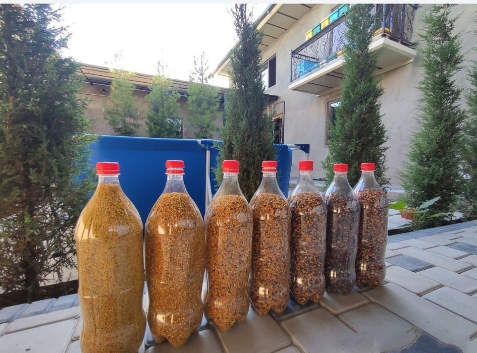 Продаю Цветочную пыльцу!