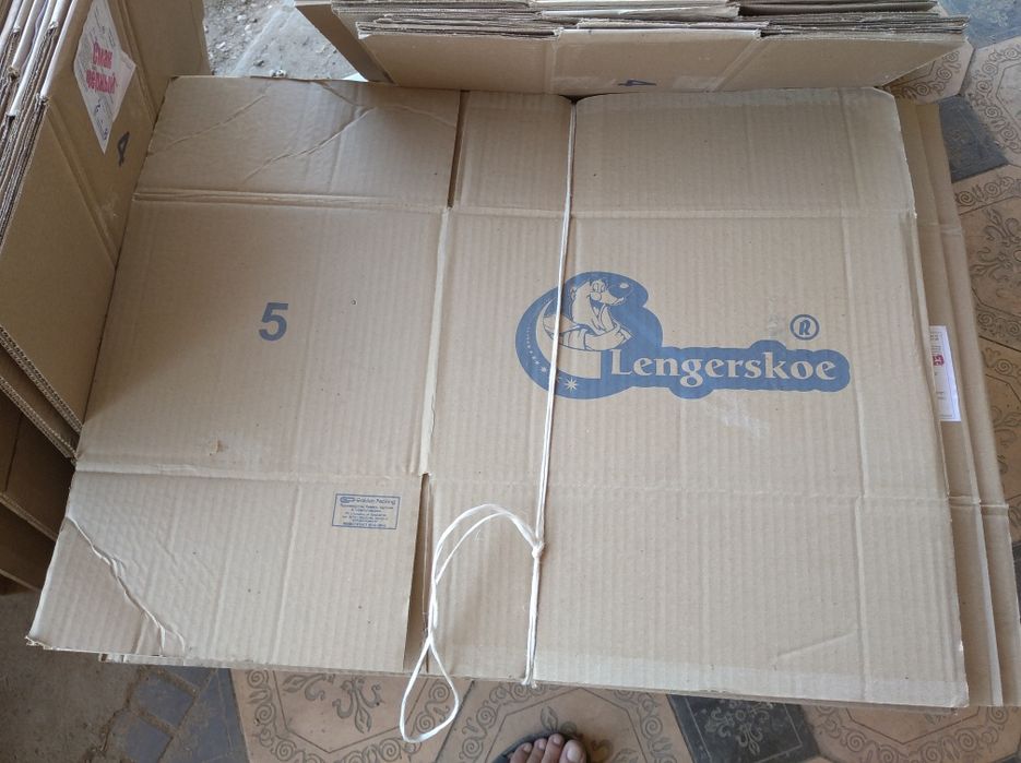 Каорпкалар бар әр түрлі