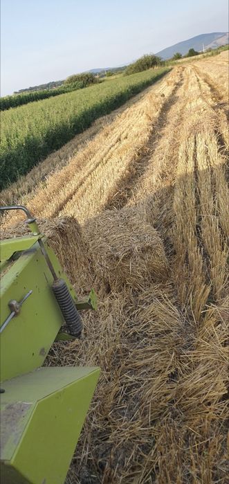 Baloti de paie , balot , baloti de paie de orz , balot , fan