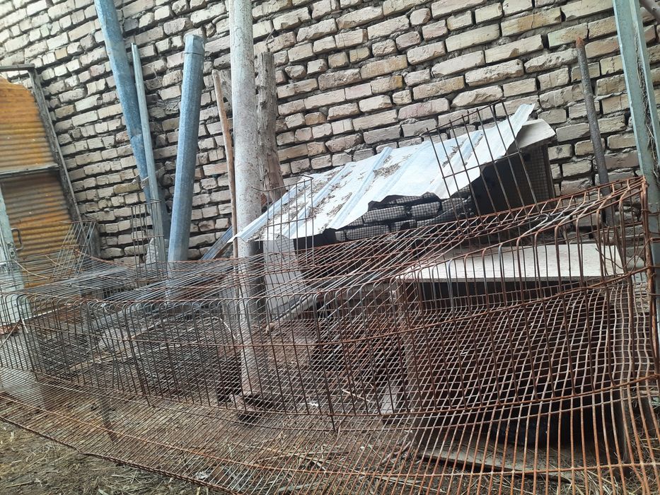 Бедоналар учун клетка сотилади 120та бедонага мулжалланган