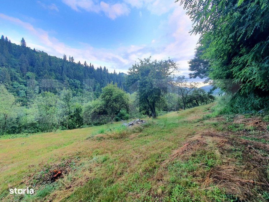 Teren intravilan, 31 ari, Ilva Mica, zona montana