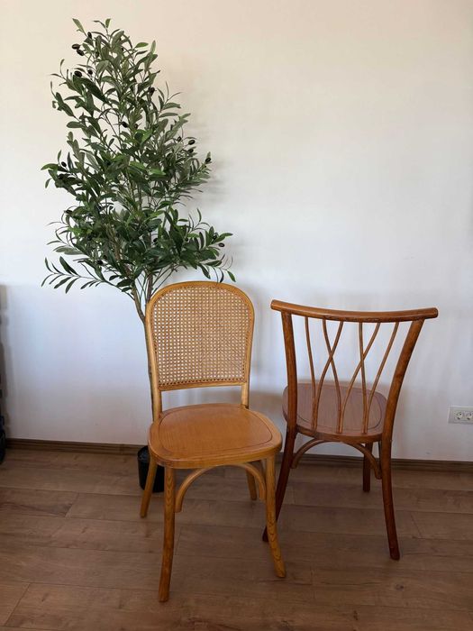 Scaune lemn GARDENIA evenimente, hambar pernuță inclusă