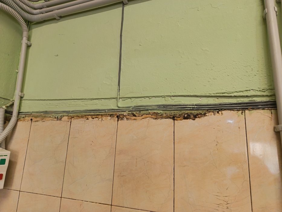 Професионално почистване - Чистичко