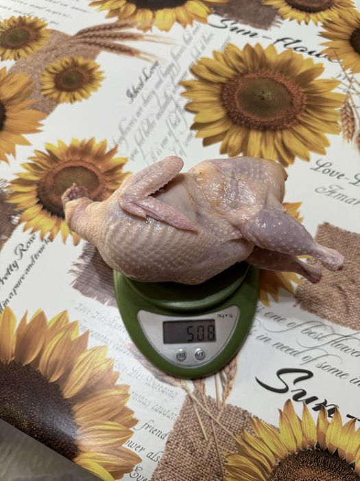 Перепелиное Мясо