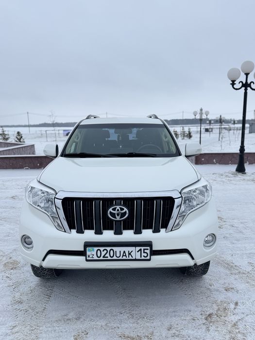 Аренда авто с водителям