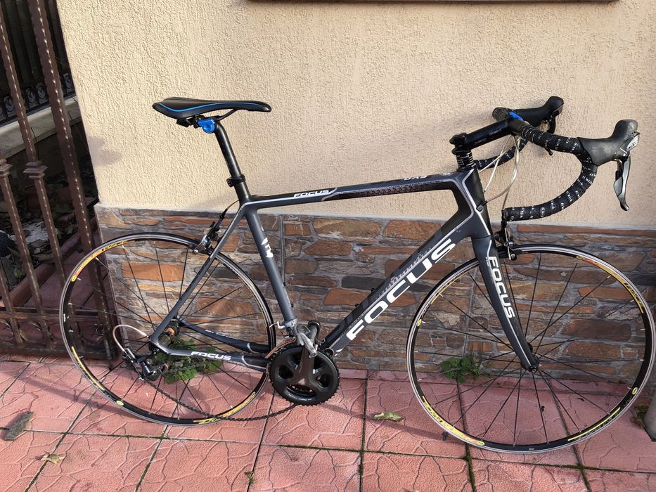 Semicursiera carbon Focus