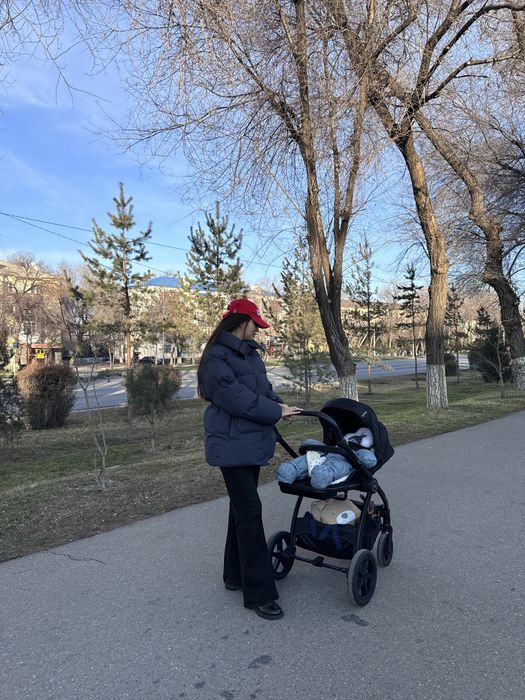 Коляска Tomix Walker 2в1