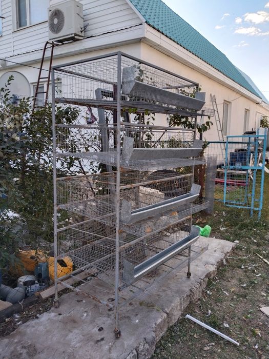 Клетка для перепелов на 160 голов