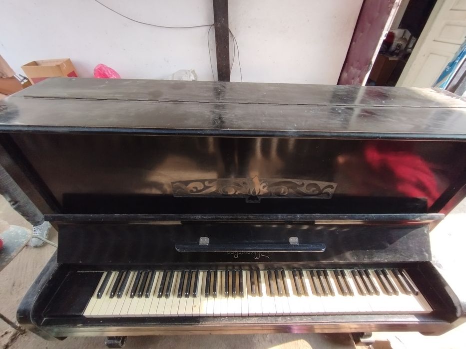 Pionina sotildi idial xolatda