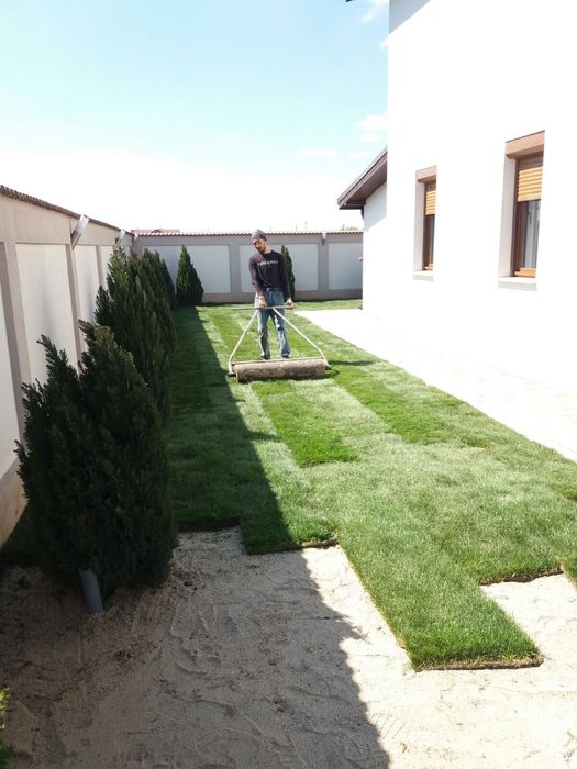 Gazon rulou + montaj