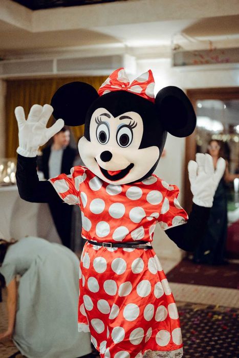 Animatori Evenimente Nunti, Animatori Bihor / Oradea